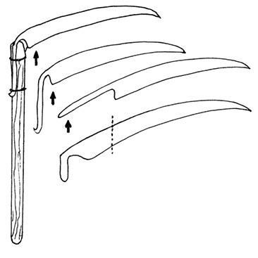 Иллюстрация к книге — Садово-огородные хитрости. Постройки и инвентарь [i_085.jpg]
