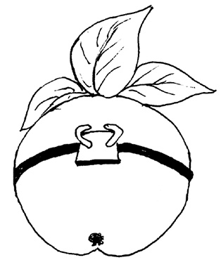 Иллюстрация к книге — Садово-огородные хитрости. Постройки и инвентарь [i_087.jpg]