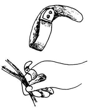 Иллюстрация к книге — Садово-огородные хитрости. Постройки и инвентарь [i_095.jpg]