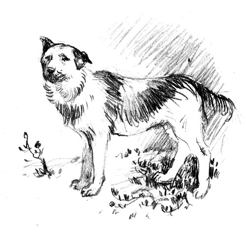 Иллюстрация к книге — Германия [i_013.jpg]