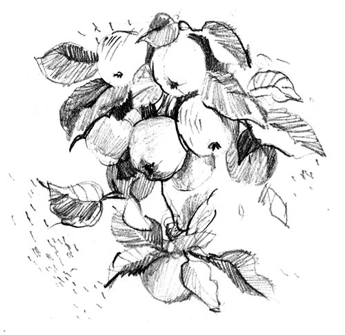 Иллюстрация к книге — Германия [i_018.jpg]