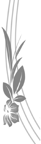 Иллюстрация к книге — Как обрести Женскую Силу [i_003.jpg]