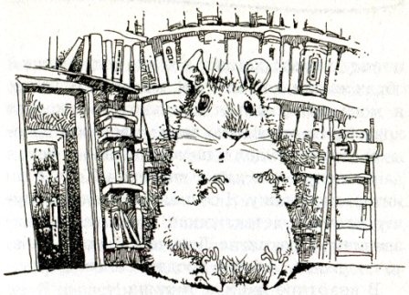 Иллюстрация к книге — Фредди. Жизнь, полная риска [i_001.jpg]