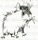 Иллюстрация к книге — Фредди. Жизнь, полная риска [i_004.jpg]