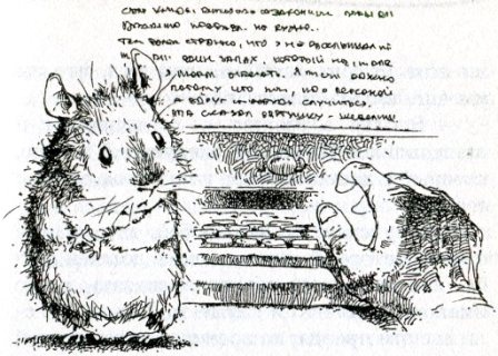 Иллюстрация к книге — Фредди. Жизнь, полная риска [i_005.jpg]