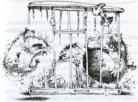 Иллюстрация к книге — Фредди. Жизнь, полная риска [i_007.jpg]