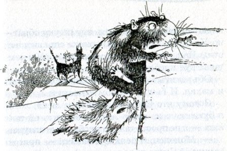 Иллюстрация к книге — Фредди. Жизнь, полная риска [i_013.jpg]