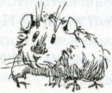 Иллюстрация к книге — Фредди. Жизнь, полная риска [i_016.jpg]