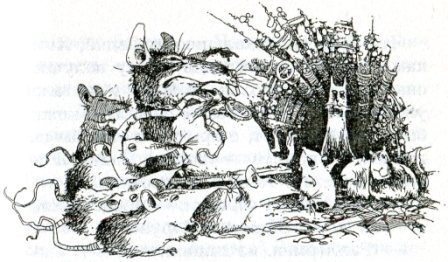 Иллюстрация к книге — Фредди. Жизнь, полная риска [i_017.jpg]