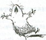 Иллюстрация к книге — Фредди. Жизнь, полная риска [i_018.jpg]