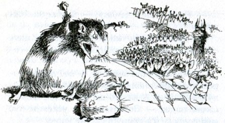 Иллюстрация к книге — Фредди. Жизнь, полная риска [i_019.jpg]