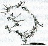 Иллюстрация к книге — Фредди. Жизнь, полная риска [i_024.jpg]