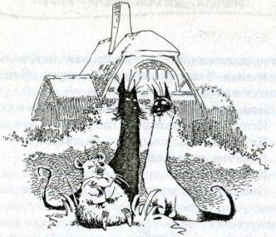 Иллюстрация к книге — Фредди. Жизнь, полная риска [i_025.jpg]