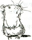 Иллюстрация к книге — Фредди. Жизнь, полная риска [i_026.jpg]