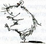 Иллюстрация к книге — Фредди. Жизнь, полная риска [i_036.jpg]