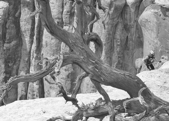 Иллюстрация к книге — Ультрамышление. Психология сверхнагрузок [i_017.jpg]