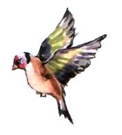 Иллюстрация к книге — Заботы Жозефины [i_015.jpg]