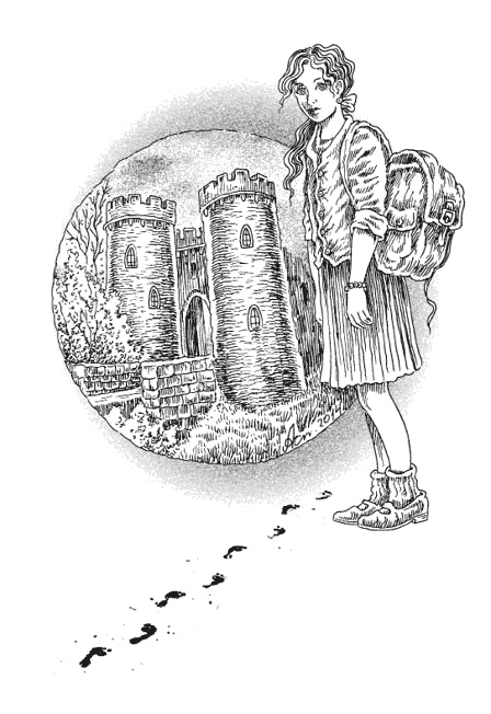 Иллюстрация к книге — Страна эльфов. В поисках сокровища [i_003.jpg]