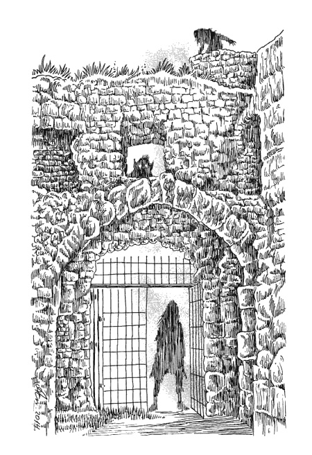 Иллюстрация к книге — Страна эльфов. В поисках сокровища [i_011.jpg]