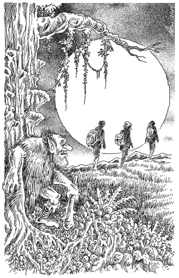 Иллюстрация к книге — Страна эльфов. В поисках сокровища [i_019.jpg]