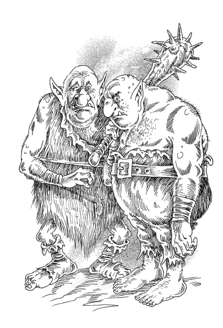 Иллюстрация к книге — Страна эльфов. В поисках сокровища [i_026.jpg]