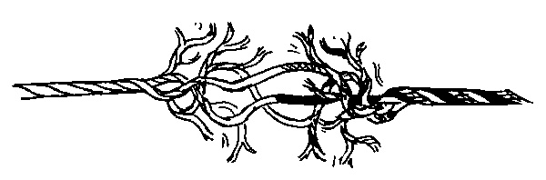 Иллюстрация к книге — Квадратный корень из лета [i_017.jpg]