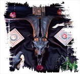 Иллюстрация к книге — Медиум: в поисках жизни [i_020.jpg]