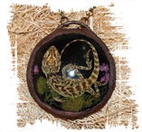 Иллюстрация к книге — Медиум: в поисках жизни [i_023.jpg]