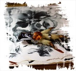 Иллюстрация к книге — Медиум: в поисках жизни [i_024.jpg]