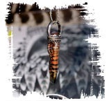 Иллюстрация к книге — Медиум: в поисках жизни [i_028.jpg]