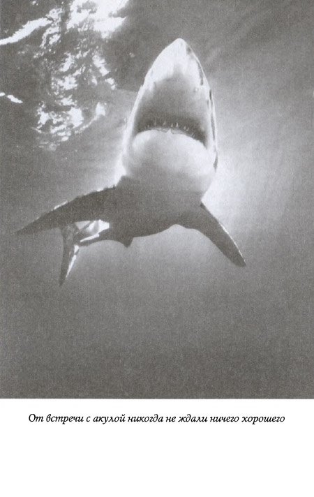 Иллюстрация к книге — Призрак на палубе [img_08.jpg]