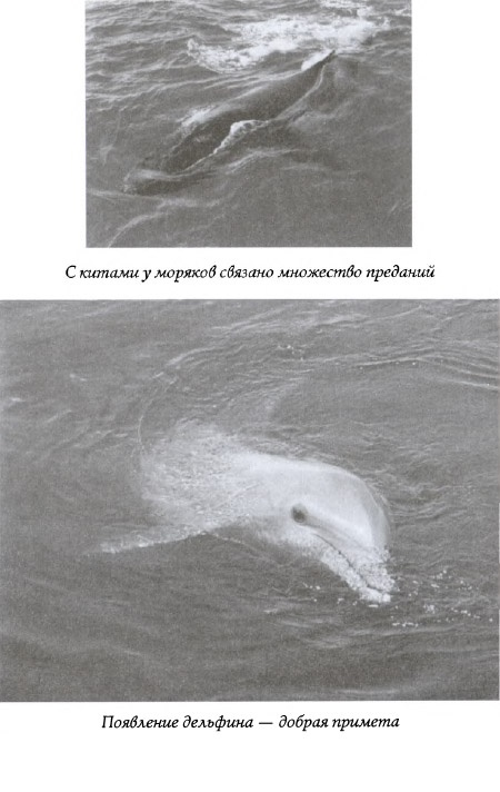 Иллюстрация к книге — Призрак на палубе [img_09.jpg]