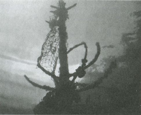 Иллюстрация к книге — Тайны четырех океанов [i_009.jpg]