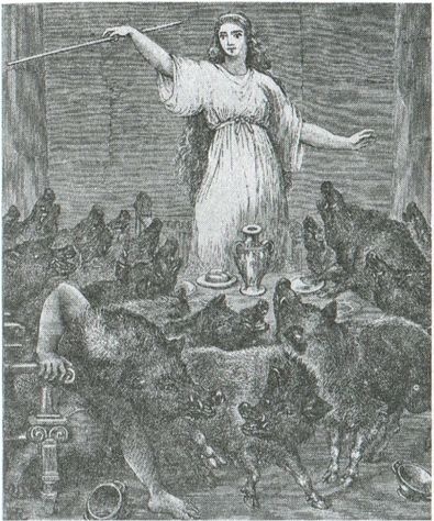 Иллюстрация к книге — Тайны четырех океанов [i_016.jpg]