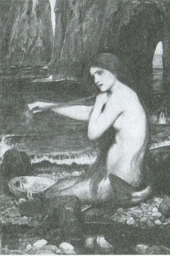 Иллюстрация к книге — Тайны четырех океанов [i_017.jpg]