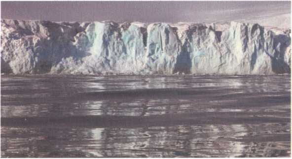 Иллюстрация к книге — Обрученные с Севером. По следам «Двух капитанов» [img_7.jpg]