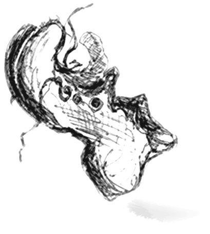 Иллюстрация к книге — Направляющая сила ума [i_003.jpg]