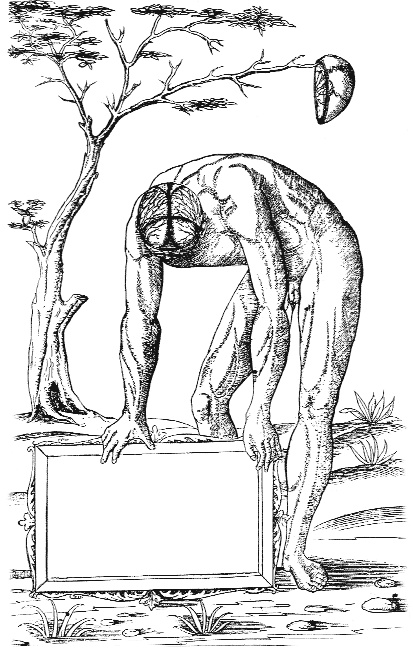 Иллюстрация к книге — Направляющая сила ума [i_011.jpg]