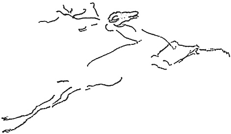 Иллюстрация к книге — Направляющая сила ума [i_033.jpg]