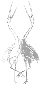 Иллюстрация к книге — Направляющая сила ума [i_035.jpg]