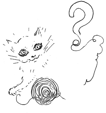 Иллюстрация к книге — Направляющая сила ума [i_046.jpg]