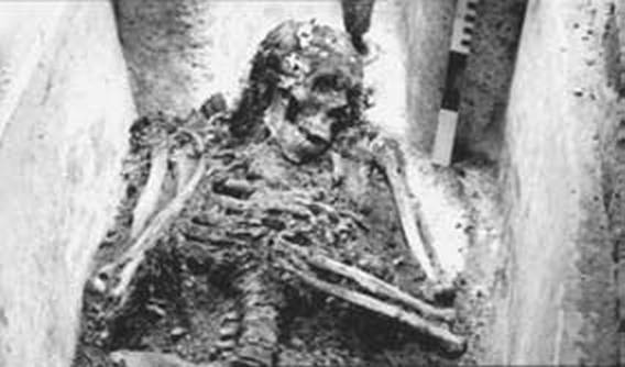 Иллюстрация к книге — Апология Грозного царя. Иоанн Грозный без лжи и мифов [i_003.jpg]