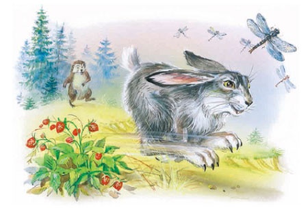 Иллюстрация к книге — Филипок [i_038.jpg]