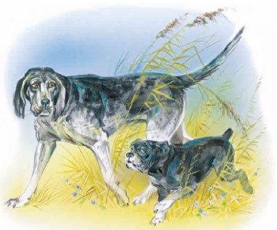 Иллюстрация к книге — Филипок [i_052.jpg]