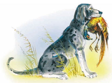 Иллюстрация к книге — Филипок [i_053.jpg]