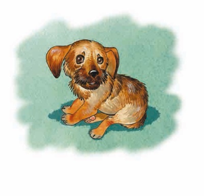 Иллюстрация к книге — Как я был самостоятельным [i_011.jpg]