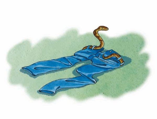 Иллюстрация к книге — Как я был самостоятельным [i_020.jpg]