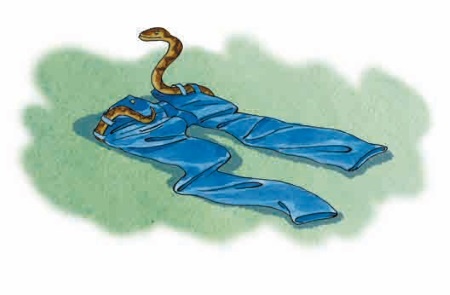 Иллюстрация к книге — Как я был самостоятельным [i_028.jpg]