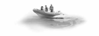 Иллюстрация к книге — Самовар, разлив, граната. Гид по неприятностям [block_0012244.jpg]