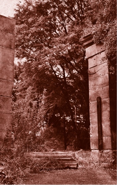 Иллюстрация к книге — Похитители костей [i_005.jpg]